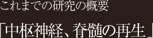 これまでの研究の概要「中枢神経、脊髄の再生」