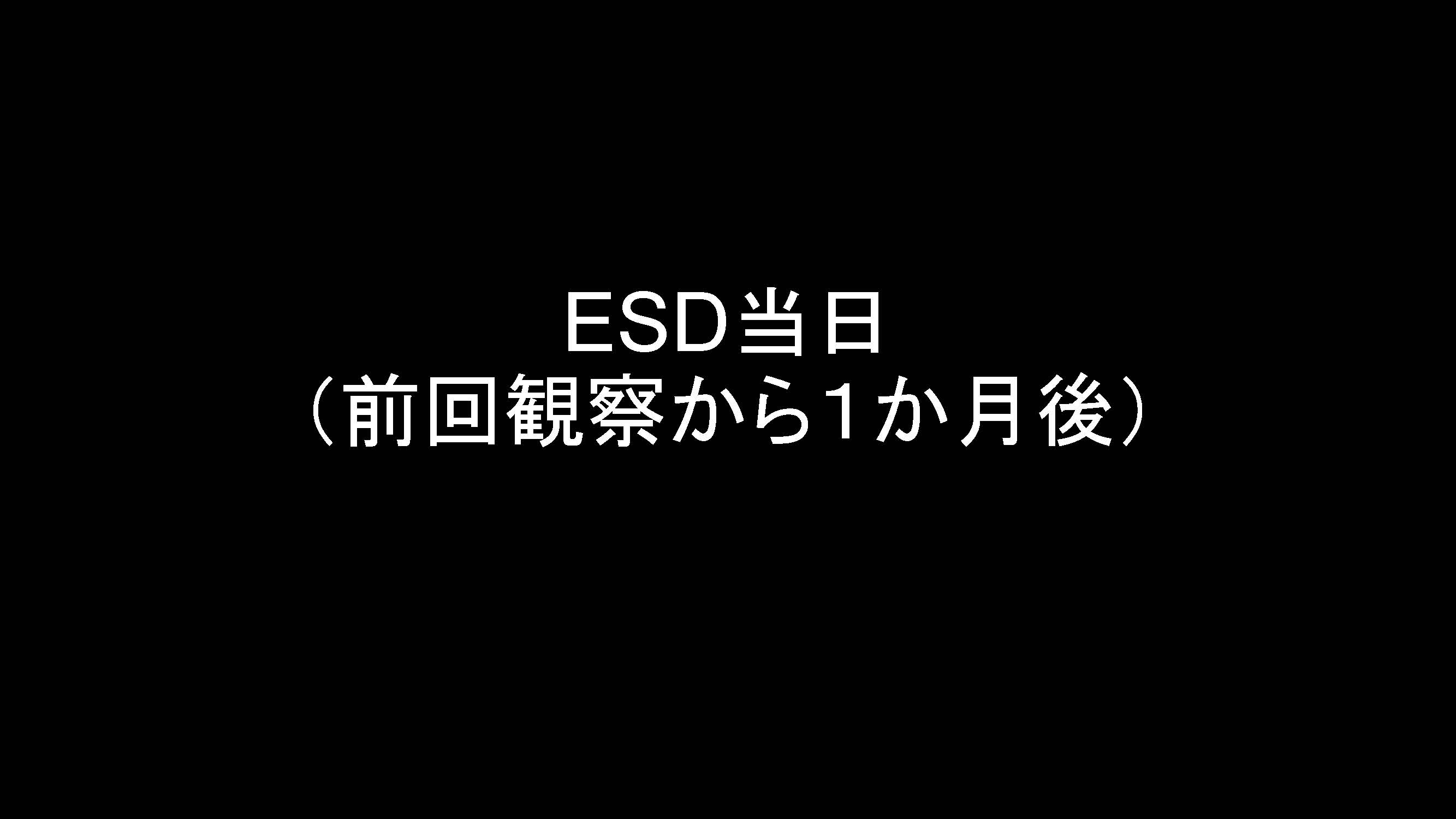 大腸019