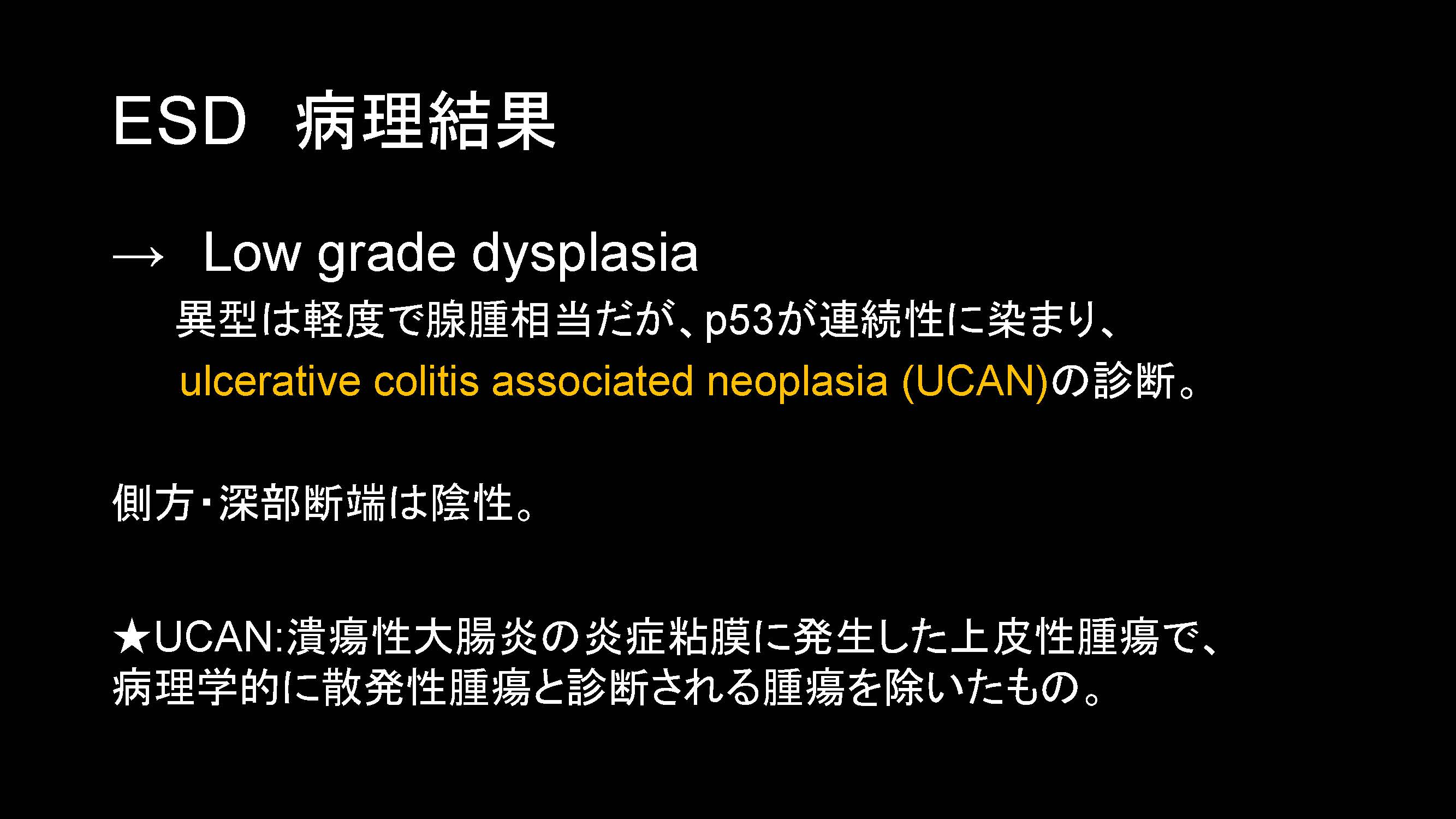 大腸036