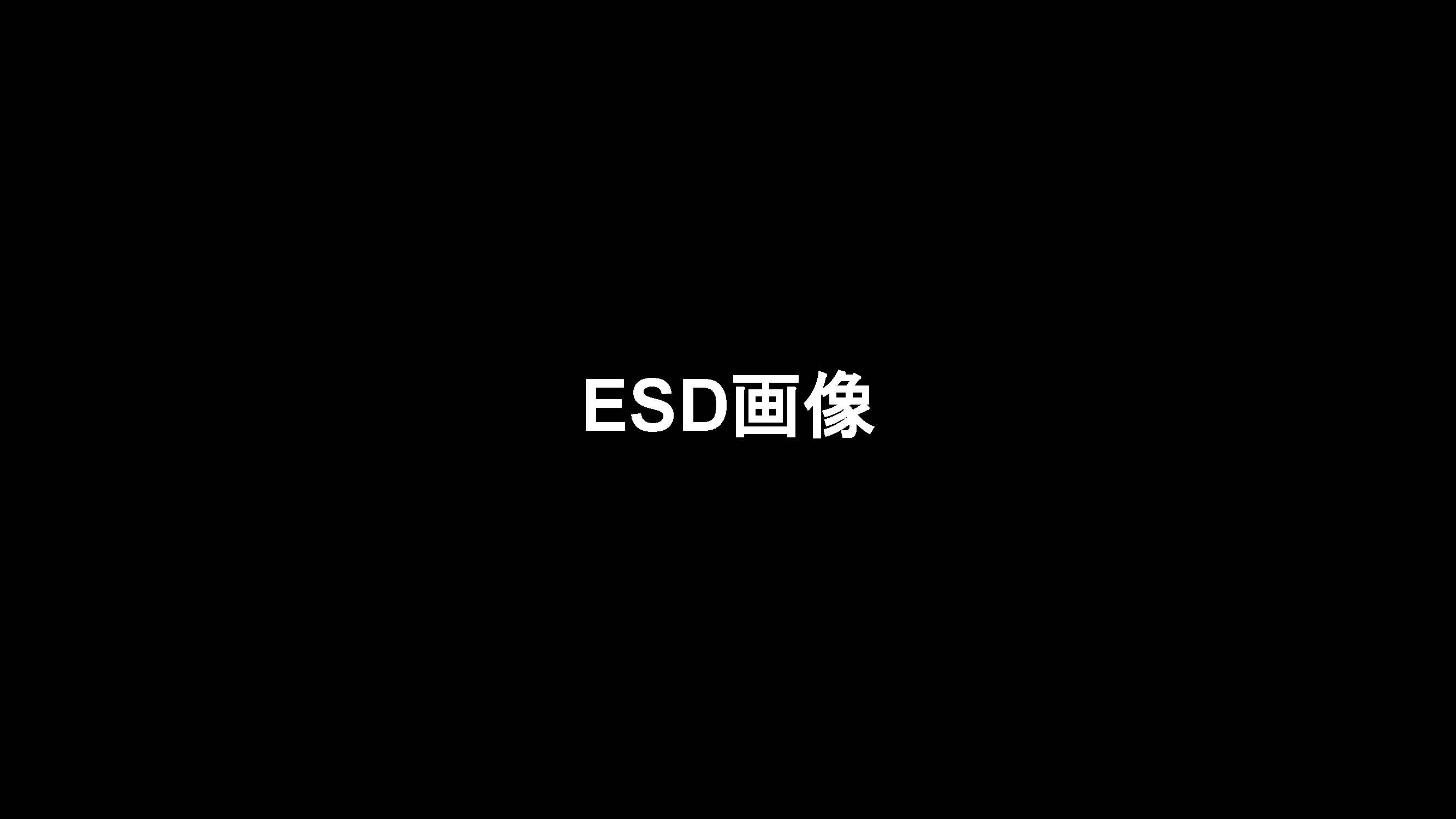 大腸019