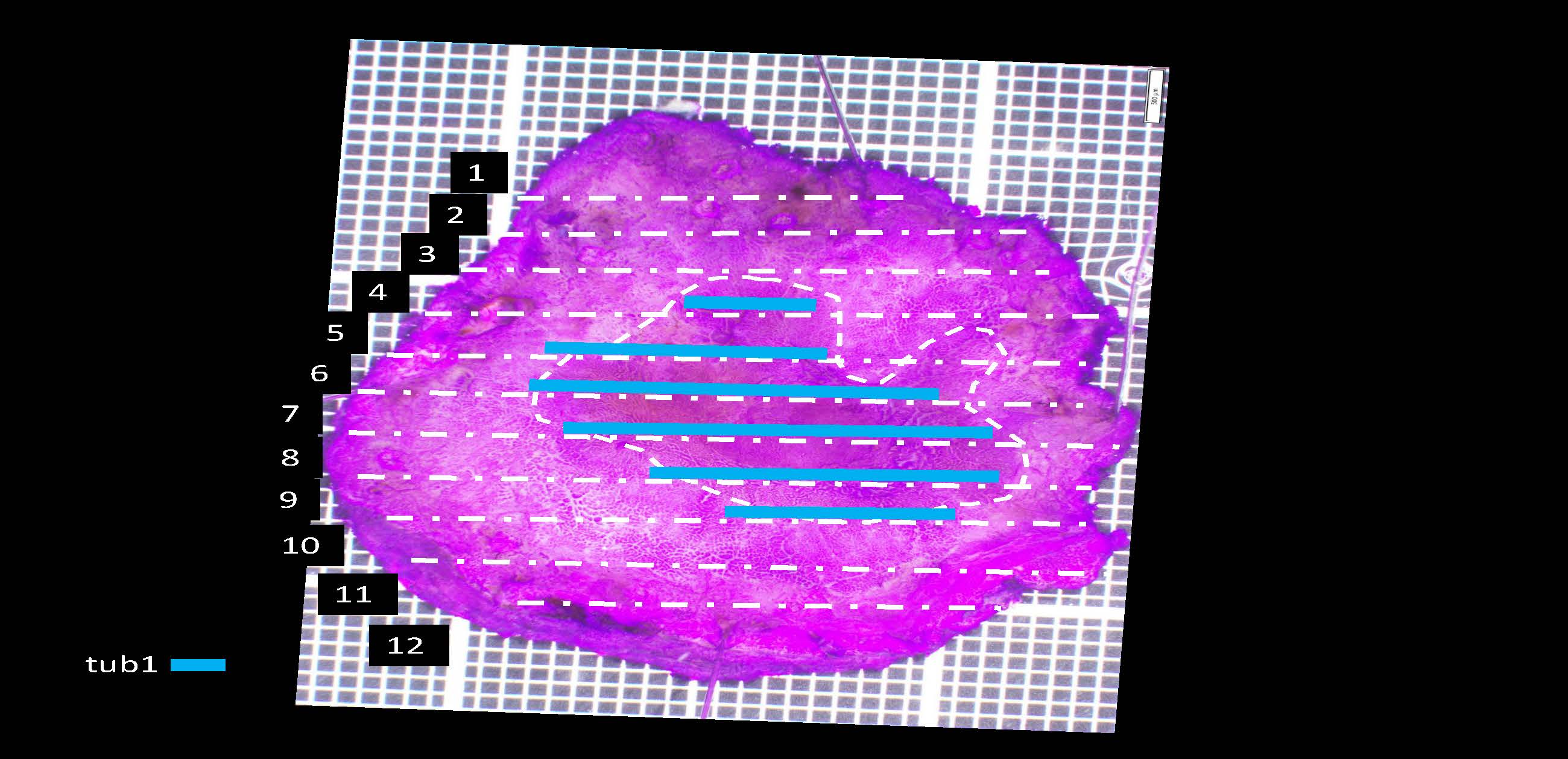 胃077