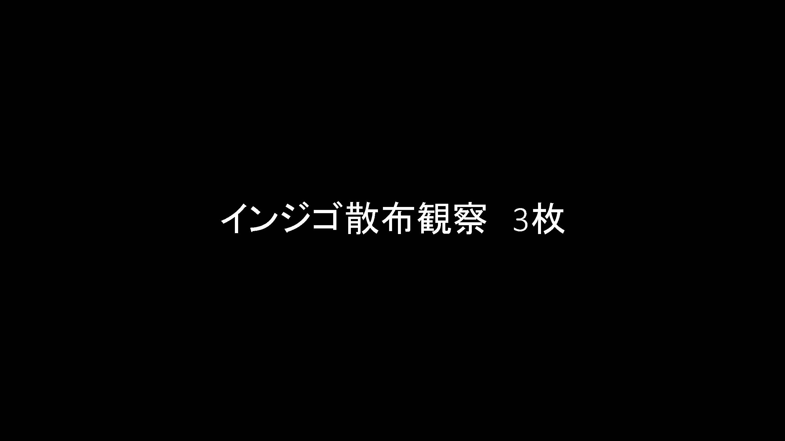 胃006