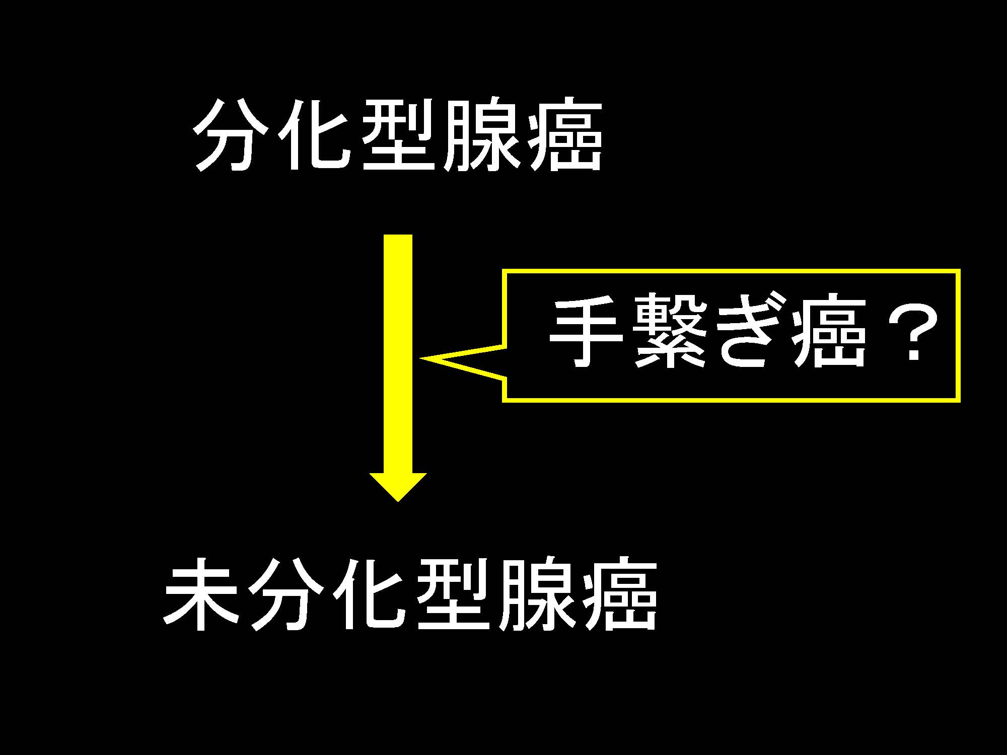 胃053