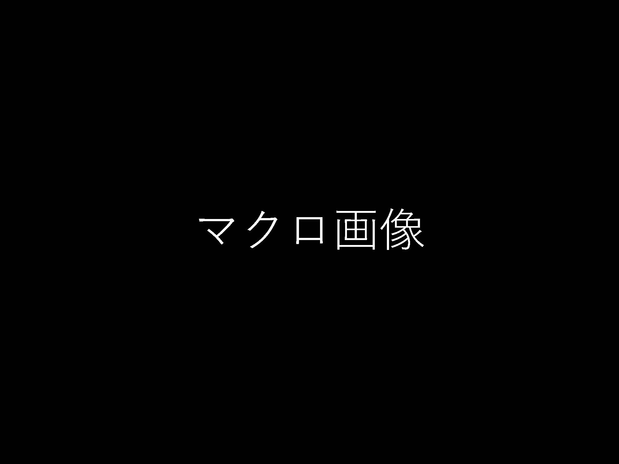 大腸030
