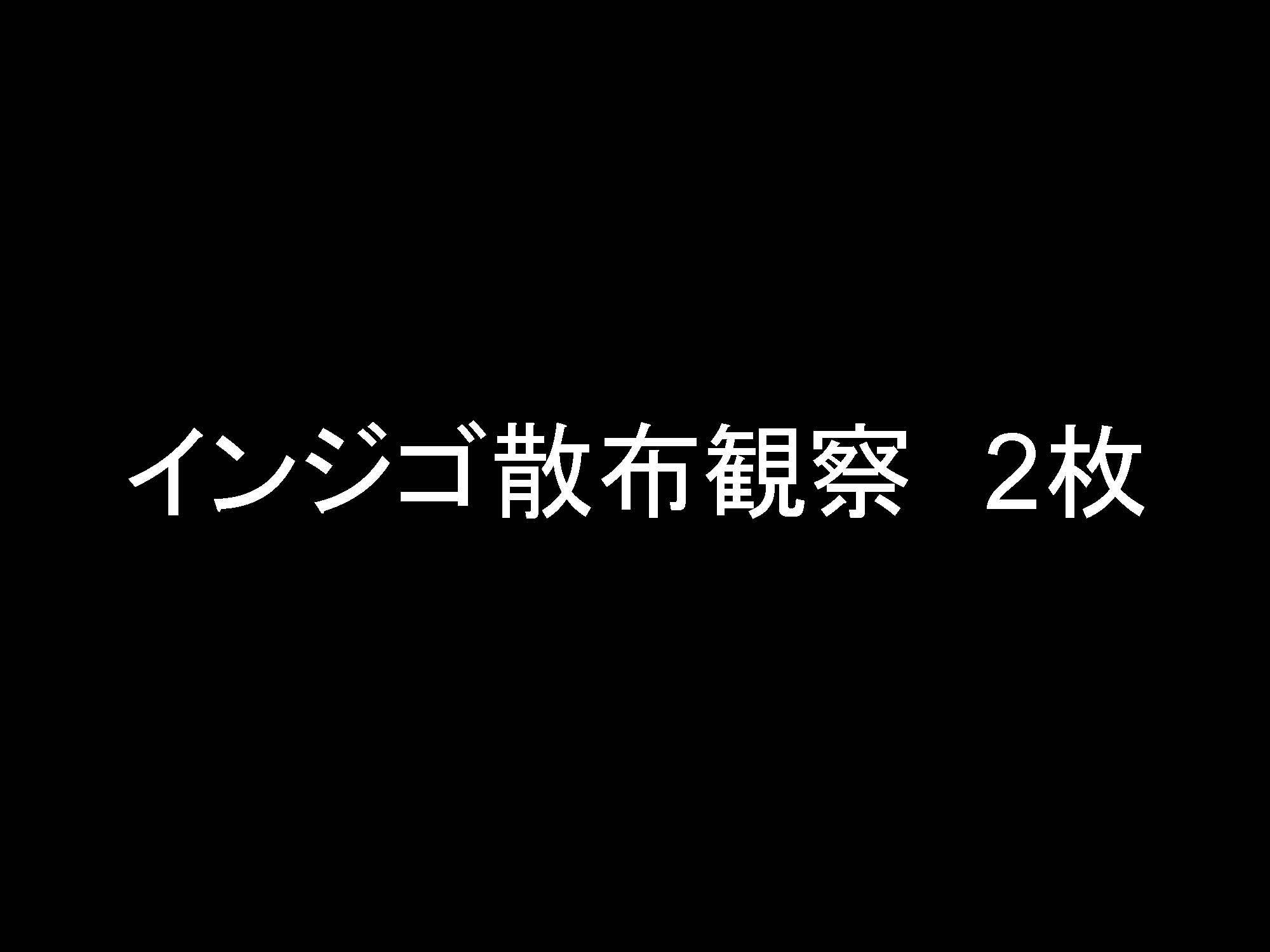 大腸005