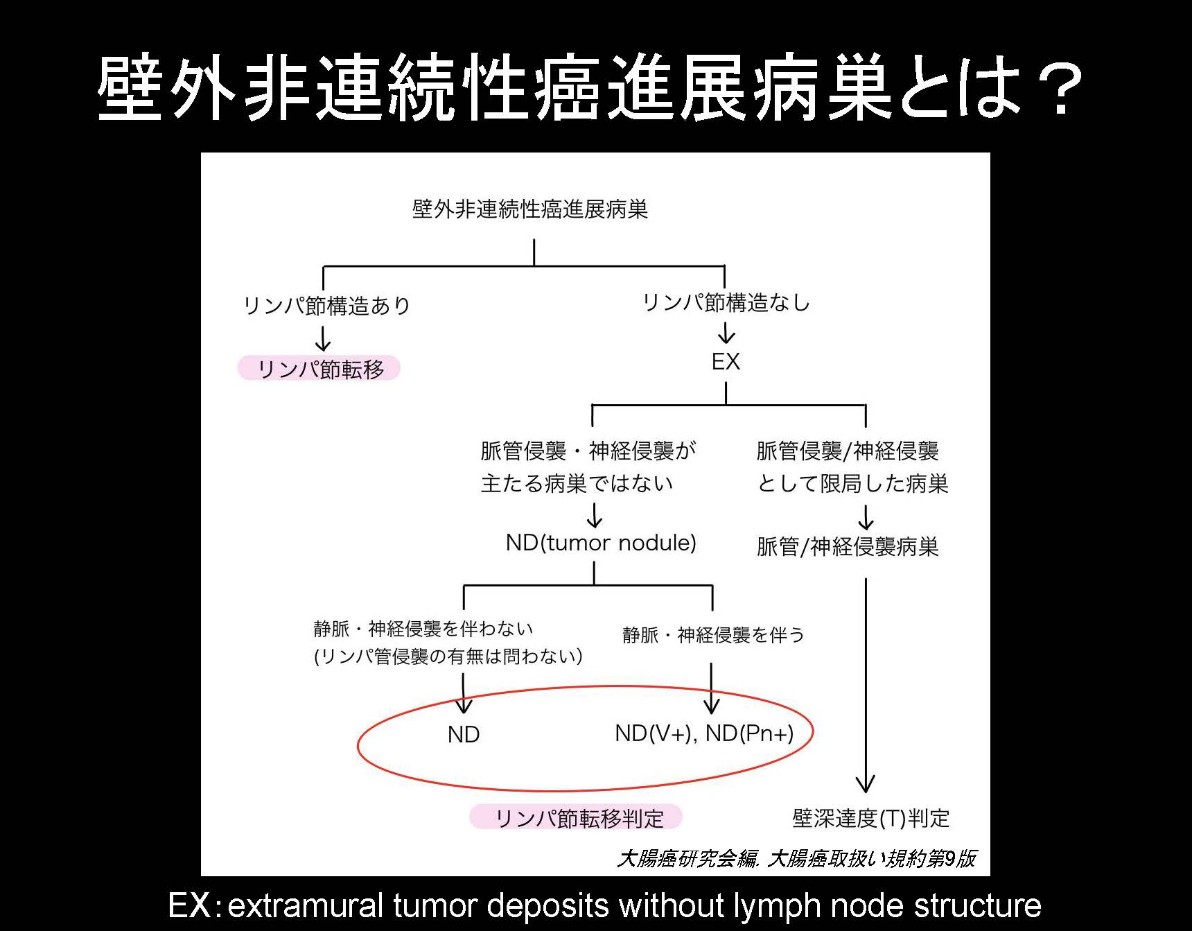 大腸081
