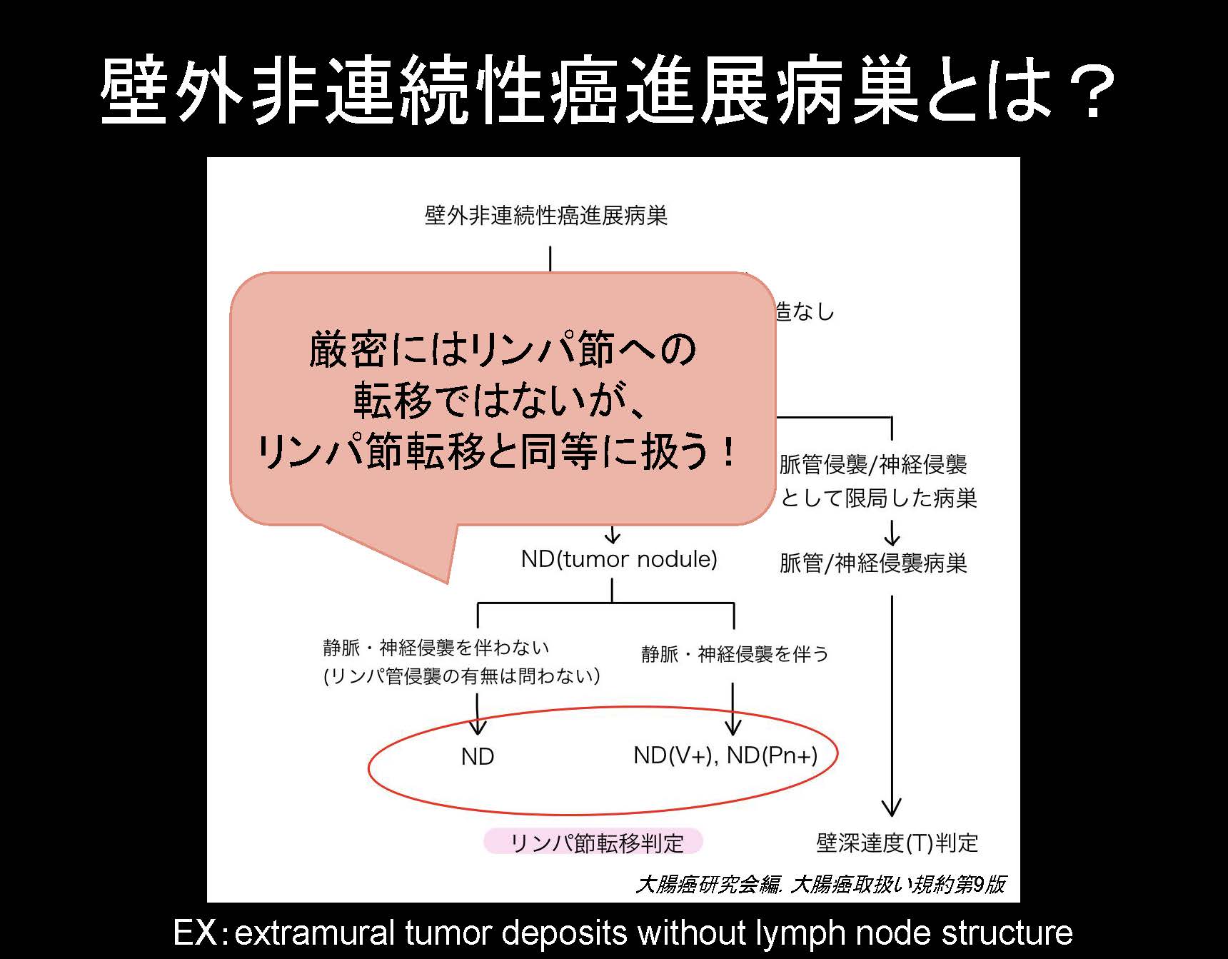 大腸082