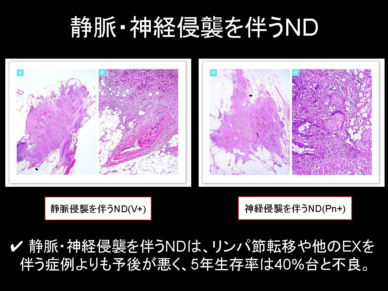 大腸084