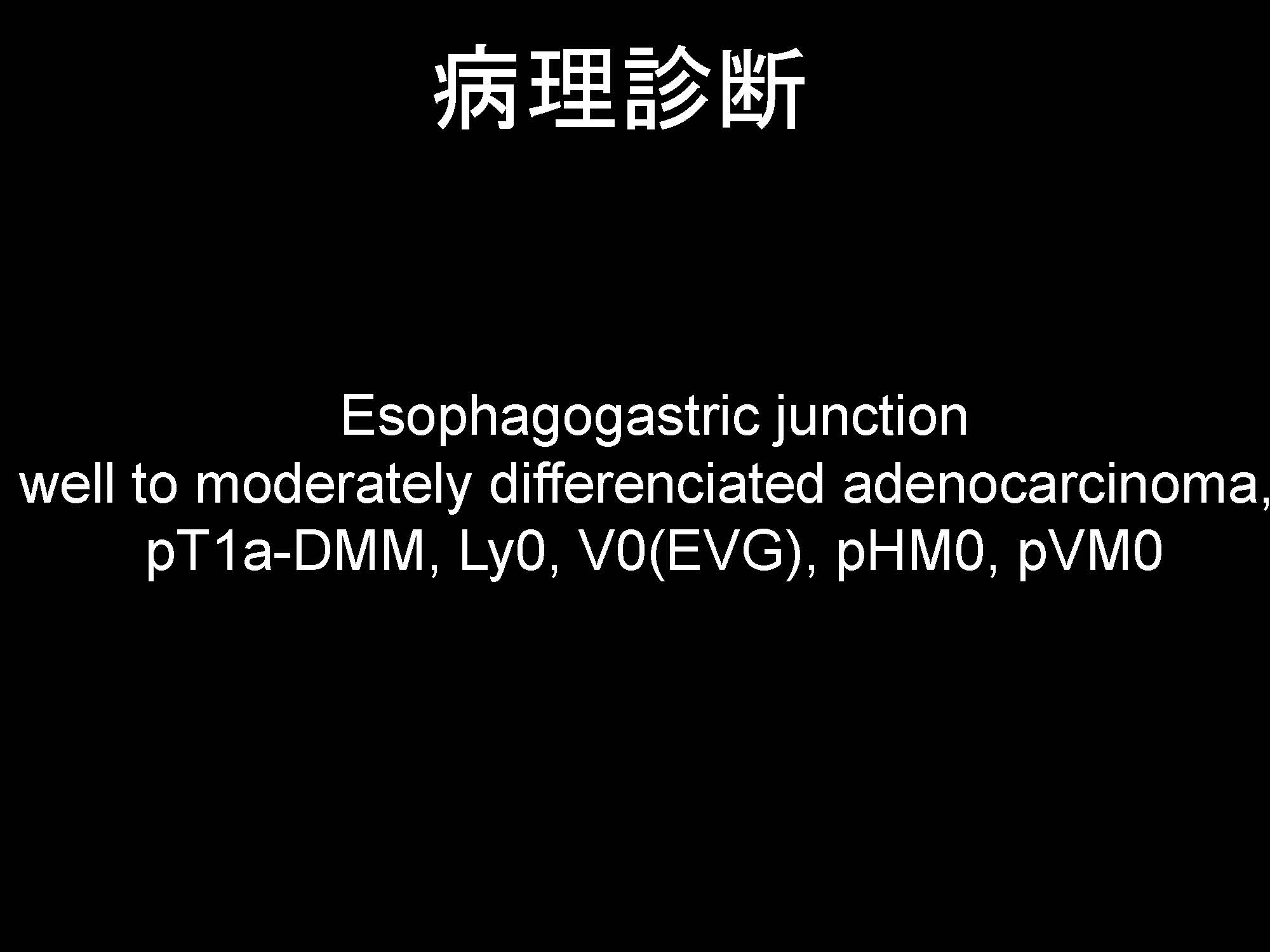 食道085