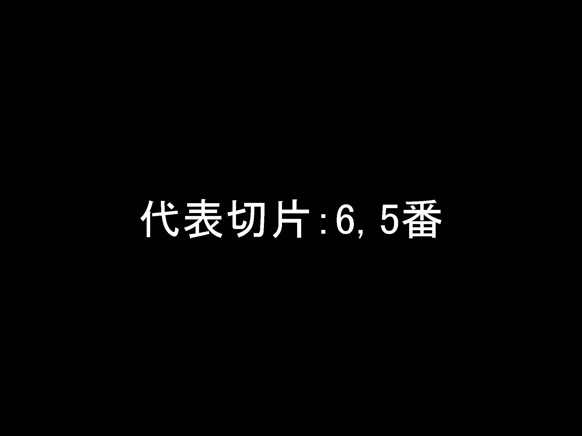 大腸041