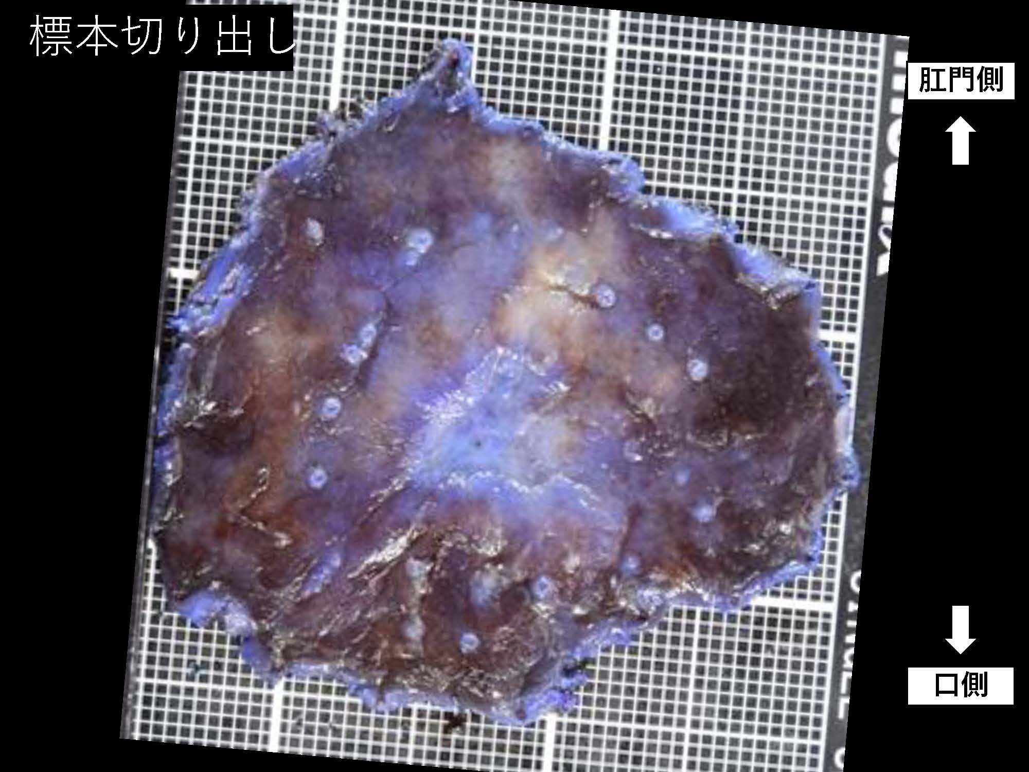 胃031