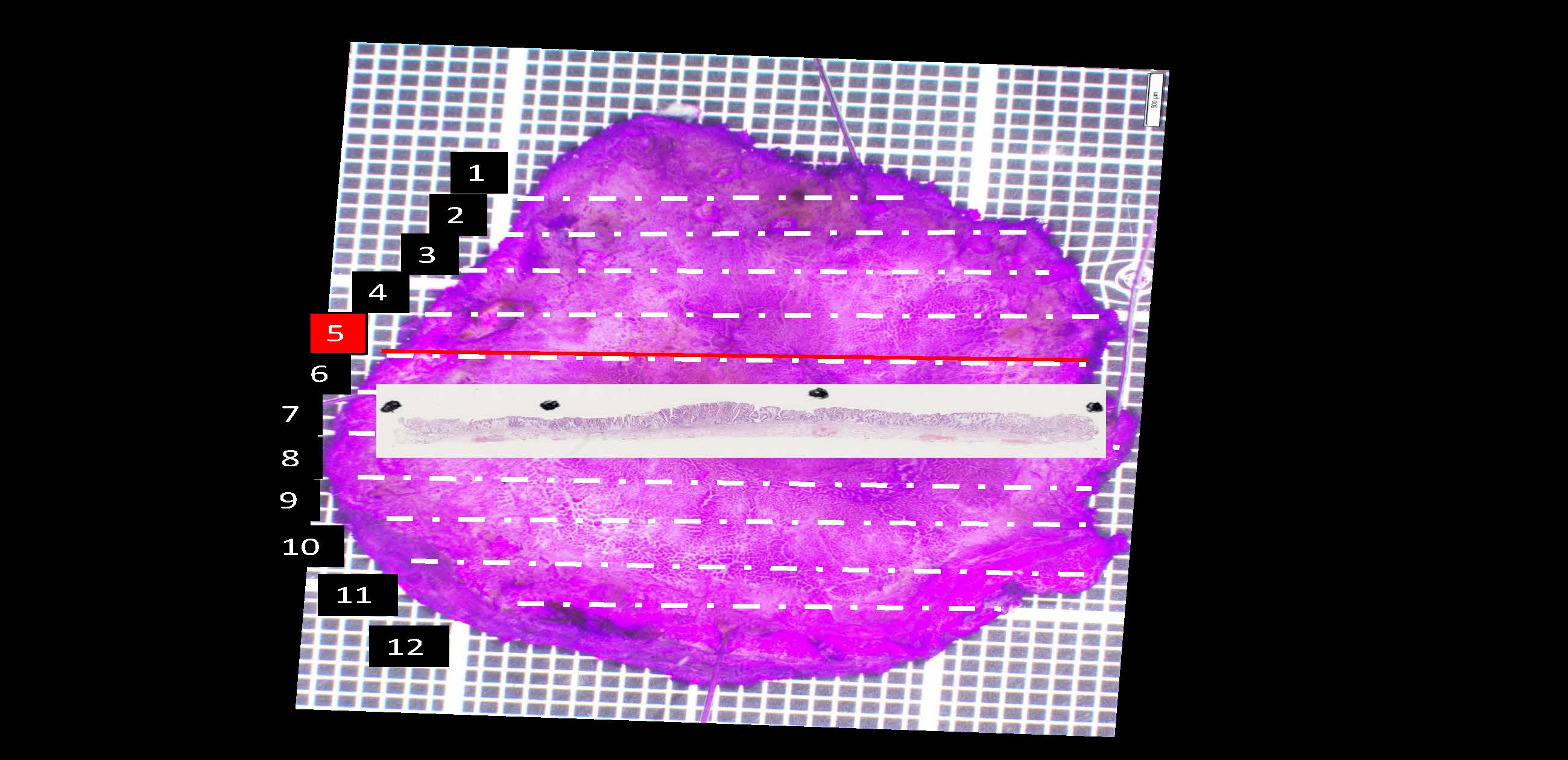 胃050