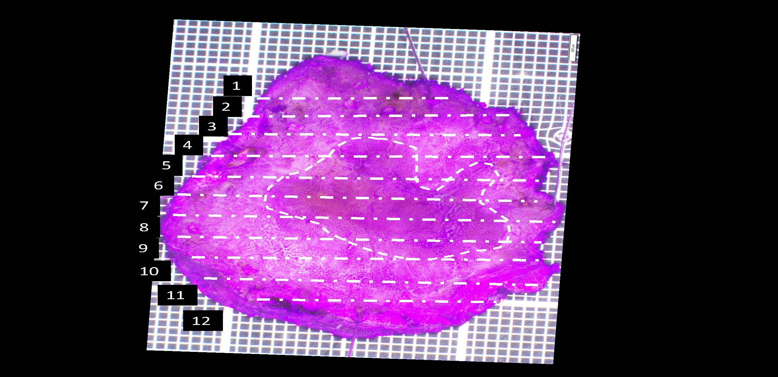 胃078
